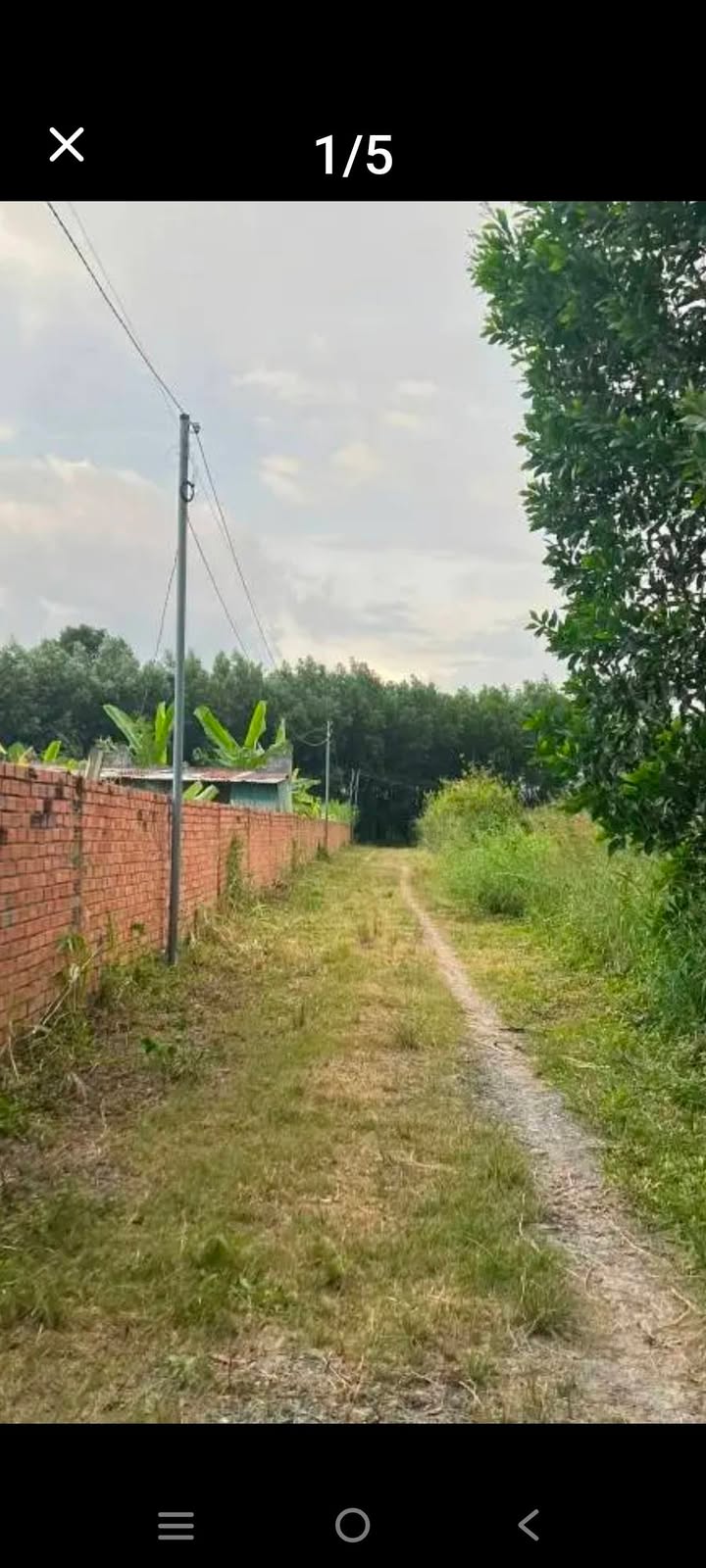 Đất vườn 1500m² Tân Triều - Giá chỉ 2.5 tỷ, cơ hội đầu tư tuyệt vời!