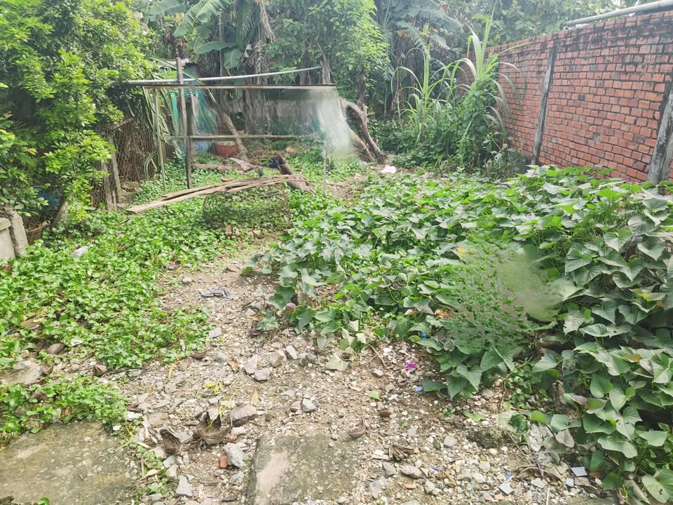 Đất nền phường 8 Bến Tre 56m² giá 560 triệu - Thổ cư 100%