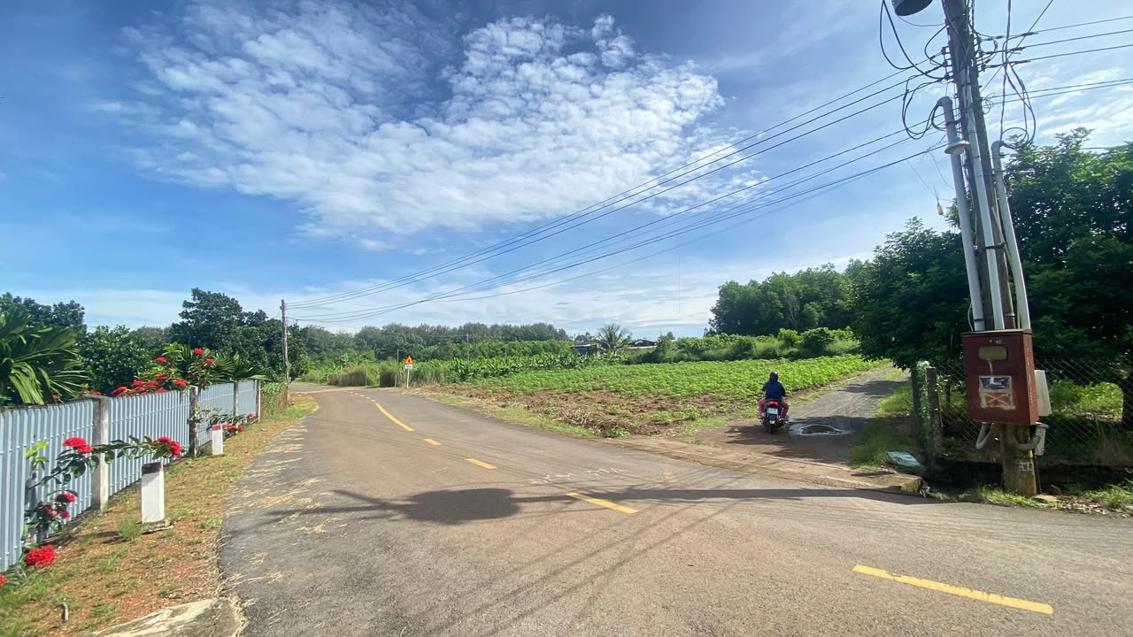 Đất nền Trảng Bom 1080m² chỉ 2 tỷ - Mặt tiền đường đá mi thuận lợi!