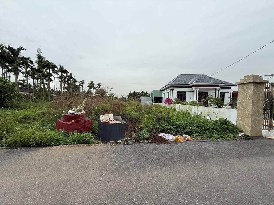 Đất nền Hợp Đức, Đồ Sơn 330m² giá 2 tỷ - Đường nhựa rộng, vị trí đắc địa!