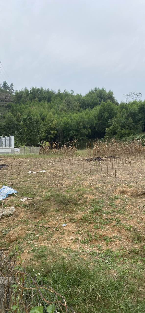 Đất thổ cư tại phường Bình Thuận, Tuyên Quang 153m² giá 730 triệu - Sổ đỏ chính chủ giao ngay!