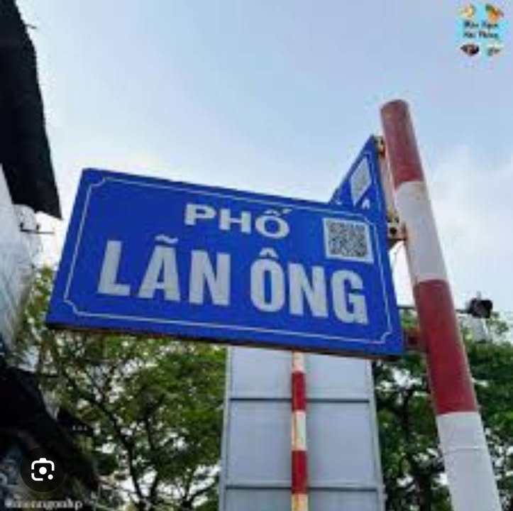 Nhà mặt đường Lãn Ông, Hồng Bàng, Hải Phòng 92m² giá 20 tỷ - Vị trí đắc địa, kinh doanh thuận lợi!