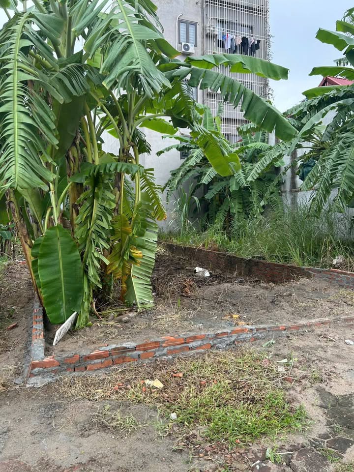 Đất phân lô Kim Chung Hoài Đức 73m² giá thỏa thuận - Sổ đỏ sang tên ngay!