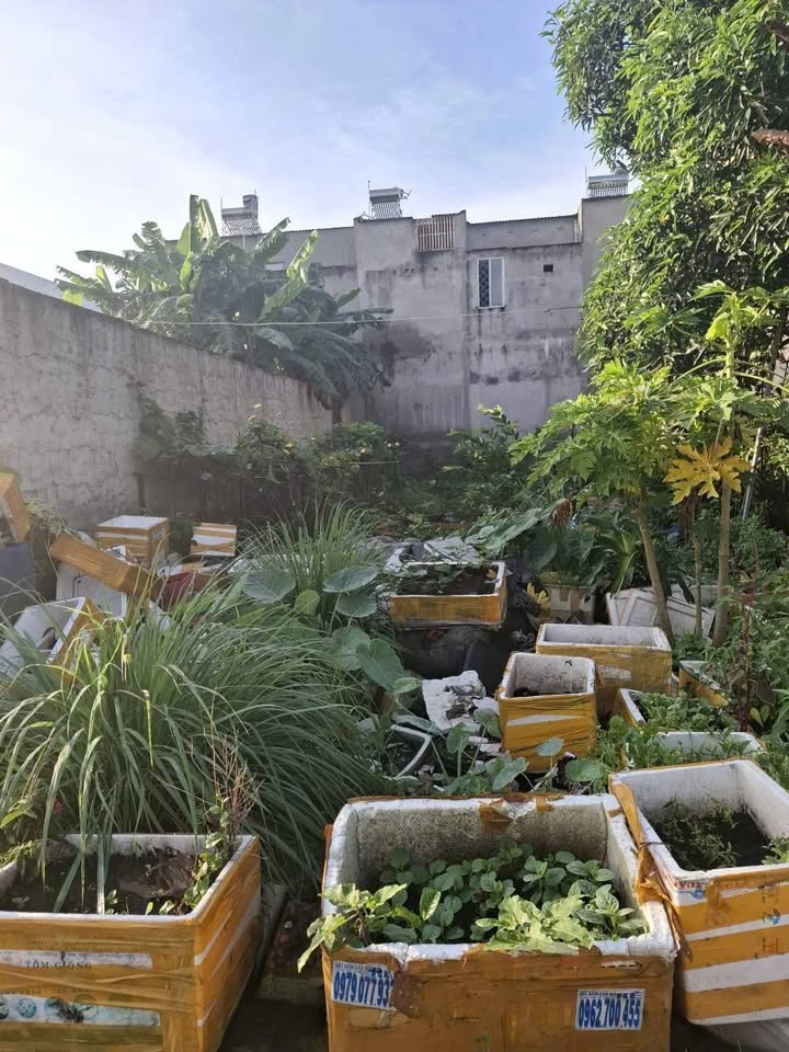 Đất nền An Phú, Thuận An 121m² giá thỏa thuận - Kinh doanh tốt ngay chợ Thành Nam!