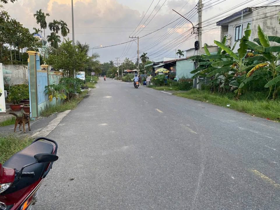 Đất thổ cư An Sơn, Tân Phú 203m² giá 4 tỷ - Đường nhựa 7m thông thoáng!