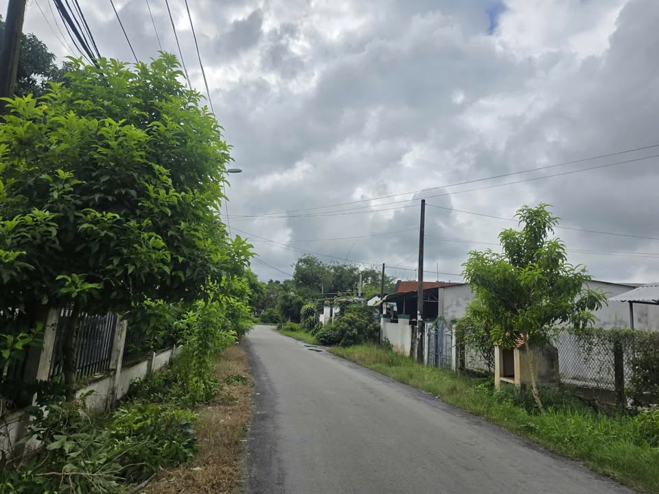 Bán đất vườn Trảng Bàng Tây Ninh 1.700m² giá 1.4 tỷ - Sổ đỏ chính chủ!