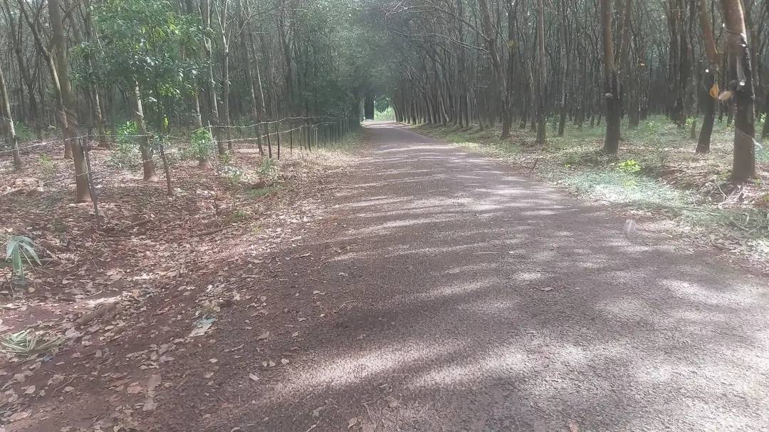 Đất nền Long Hưng Tân Châu 10,9ha giá 4 tỷ - Mặt tiền đường Nhựa rộng rãi!