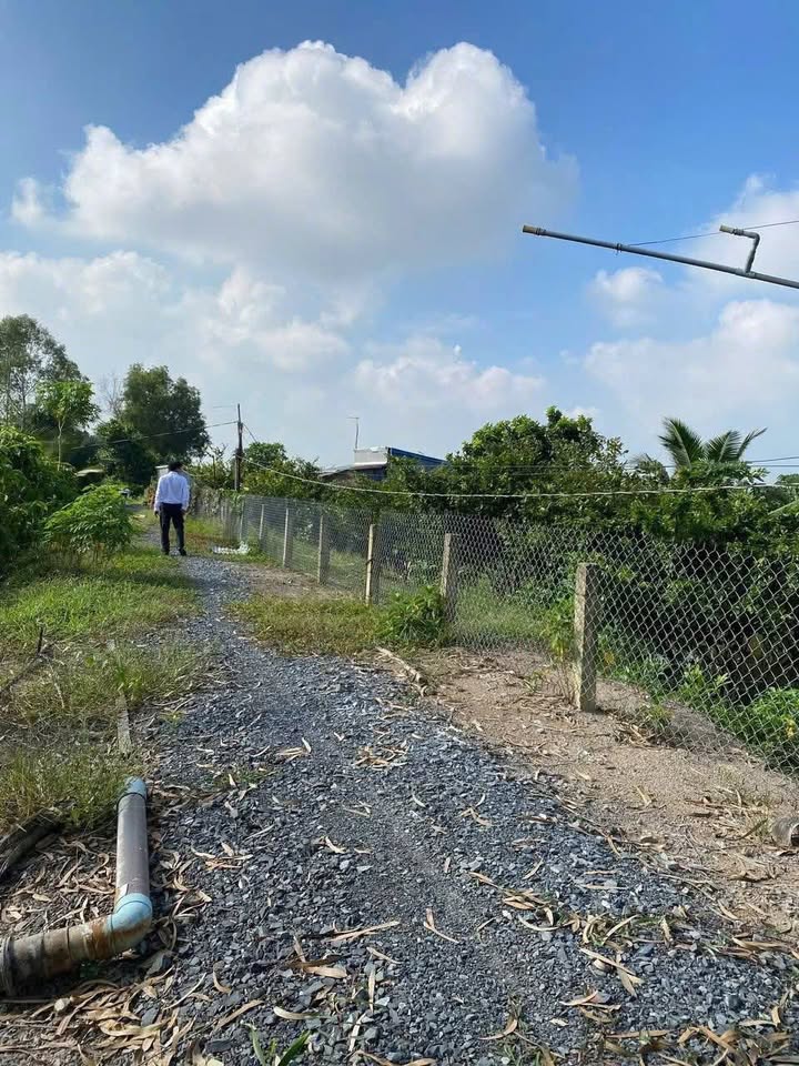 Farm 25 công xã Thạnh Mỹ, huyện Tân Phước, giá 4 tỷ - Đầu tư sinh lời ngay!