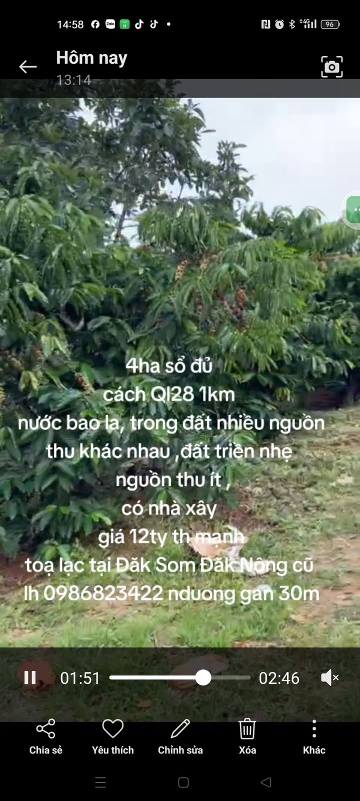 Farm 4ha Đắk Som giá 12 tỷ - Đầu tư tiềm năng với nhiều nguồn thu!