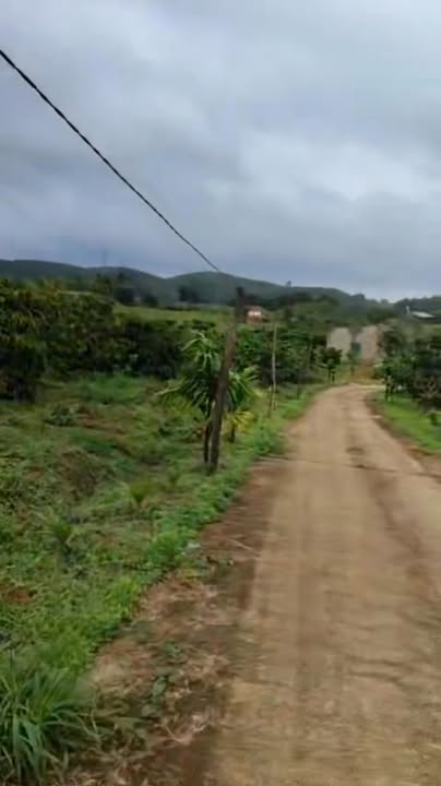 Đất 1,3ha tại Nam Xuân, Đắk Nông - Giá chỉ 2,55 tỷ, thương lượng tốt!