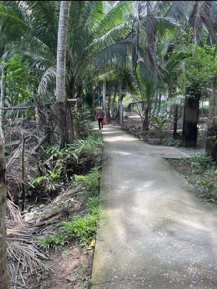 Đất vườn dừa tại xã Bình Khánh, Mỏ Cày Nam 3600m² - Giá chỉ 450 triệu!