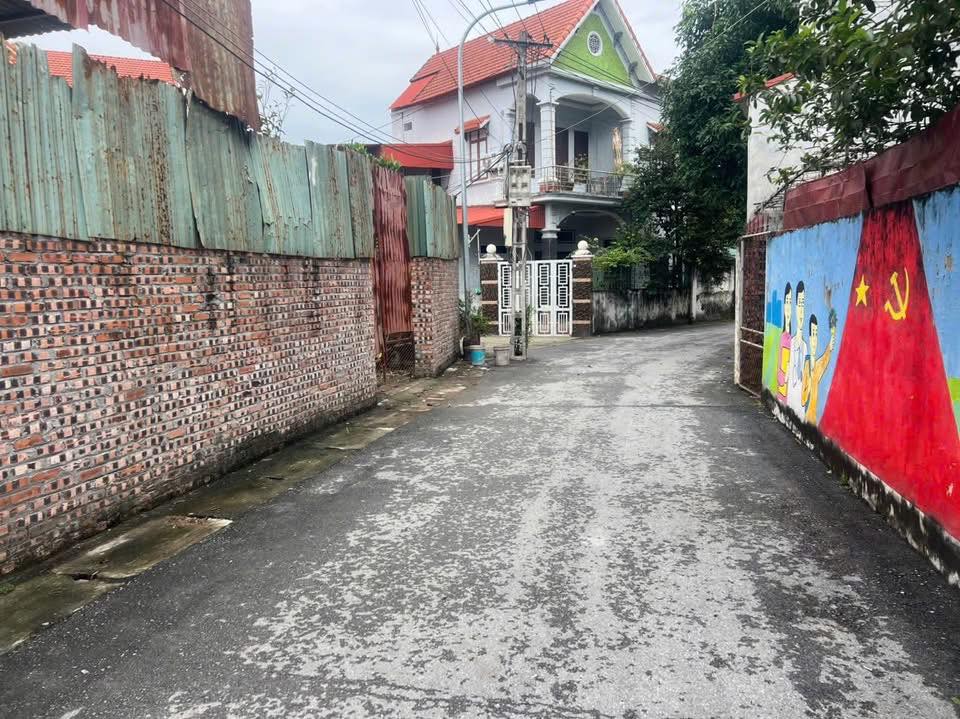 Đất thổ cư Tứ Trưng - Vĩnh Tường 74,5m² chỉ 1,7 tỷ - Cơ hội đầu tư tuyệt vời!