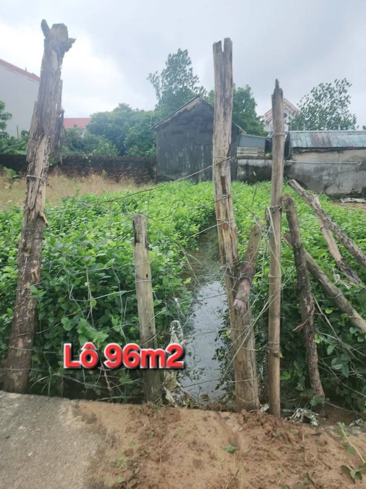 Đất thổ cư Thôn Thượng, Đông Xuân, Sóc Sơn 96m² - Cơ hội đầu tư sinh lời!