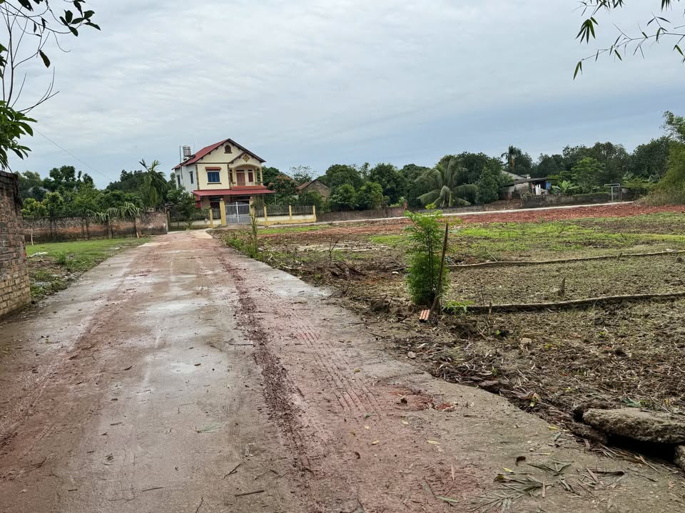 Đất nền Ngọc Châu Tân Yên 200m² giá chỉ 600 triệu - Đầu tư sinh lời ngay!