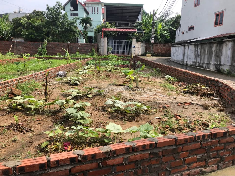 Đất nền lô góc Phù Lỗ, Sóc Sơn 89m² - Giá đầu tư hấp dẫn!