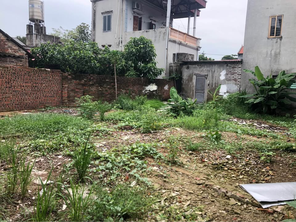 Đất đẹp tại Mai Đình, Sóc Sơn 132m² giá chỉ từ 2.68 tỷ - Đầu tư sinh lời tuyệt vời!