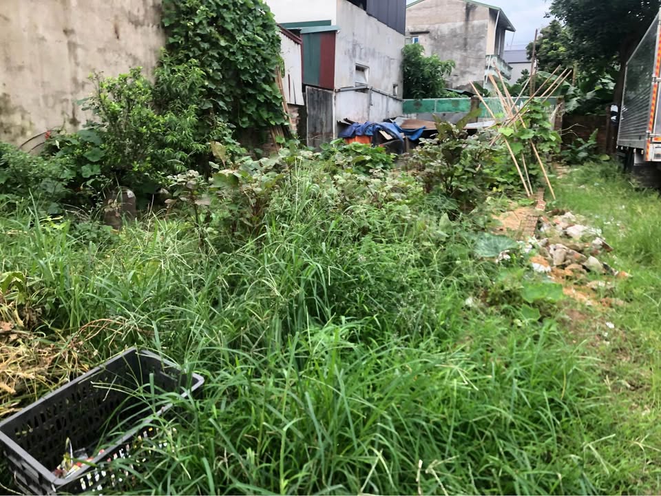 Đất nền đẹp tại Mai Đình, Sóc Sơn 98m² - Giá đầu tư hấp dẫn!