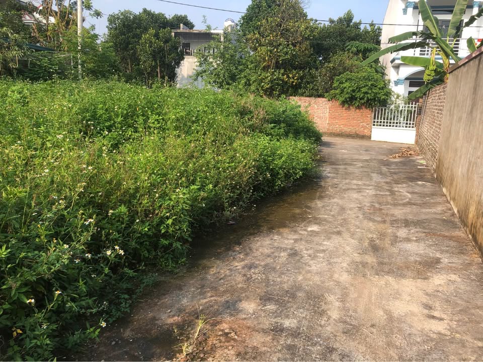 Đất nền đẹp tại Quang Tiến, Sóc Sơn 50m² giá 1 tỷ - Đầu tư hợp lý!