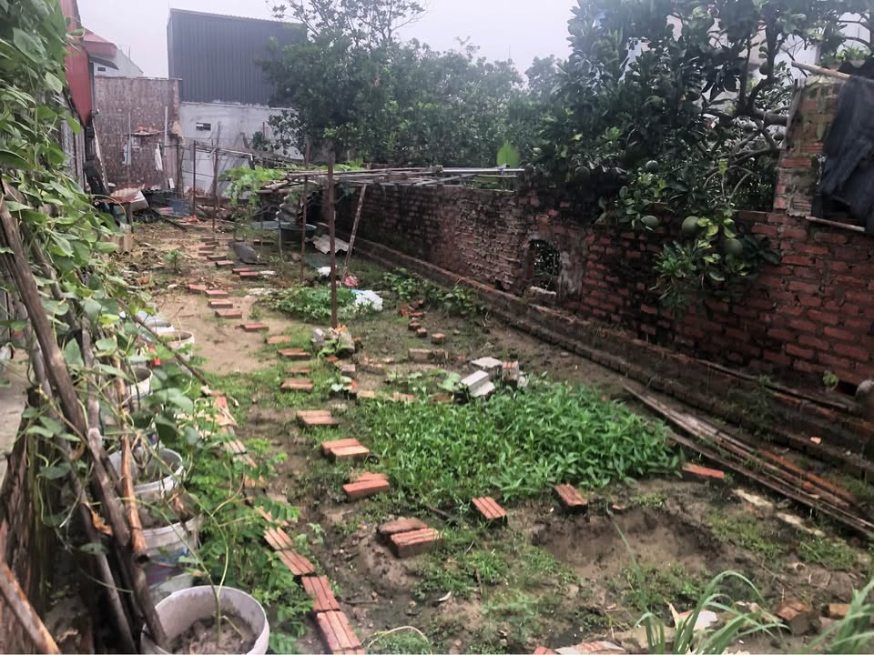 Đất nền tại Mai Đình, Sóc Sơn 80m² - Đầu tư sinh lời ngay!