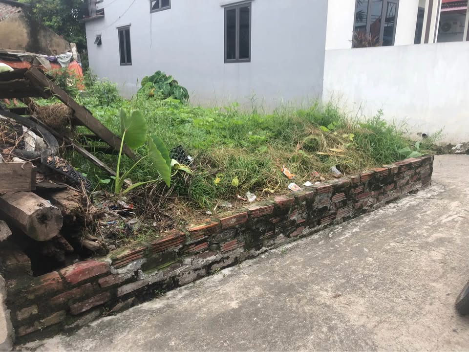 Đất nền lô góc tại Mai Đình, Sóc Sơn 69m² - Giá đầu tư hấp dẫn!