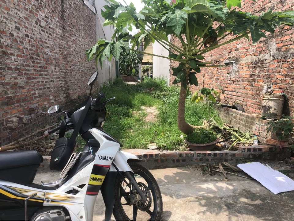 Đất nền Quang Tiến, Sóc Sơn 42m² giá 1 tỷ - Đầu tư sinh lời hấp dẫn!