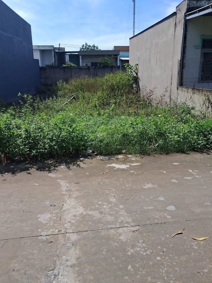 Đất nền Mỹ Hạnh Bắc 130m² chỉ 1.35 tỷ - Sổ hồng riêng, thuận tiện giao thông!