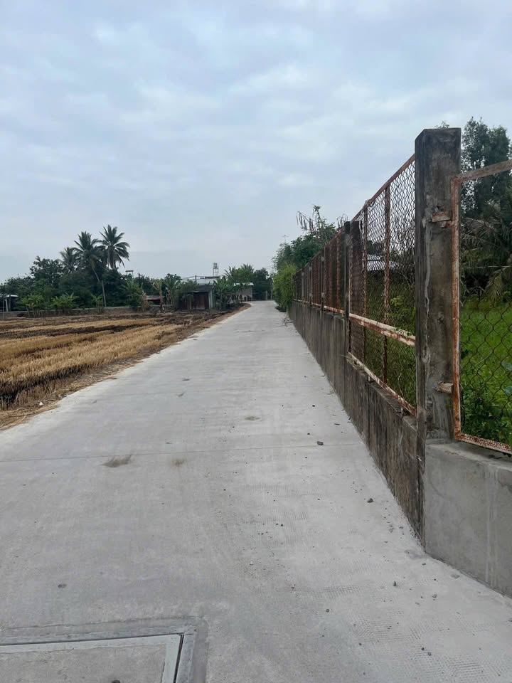 Đất lúa 1000m² Phước Hậu, Cần Giuộc - Giá chỉ 2.2 tỷ, chính chủ bán gấp!