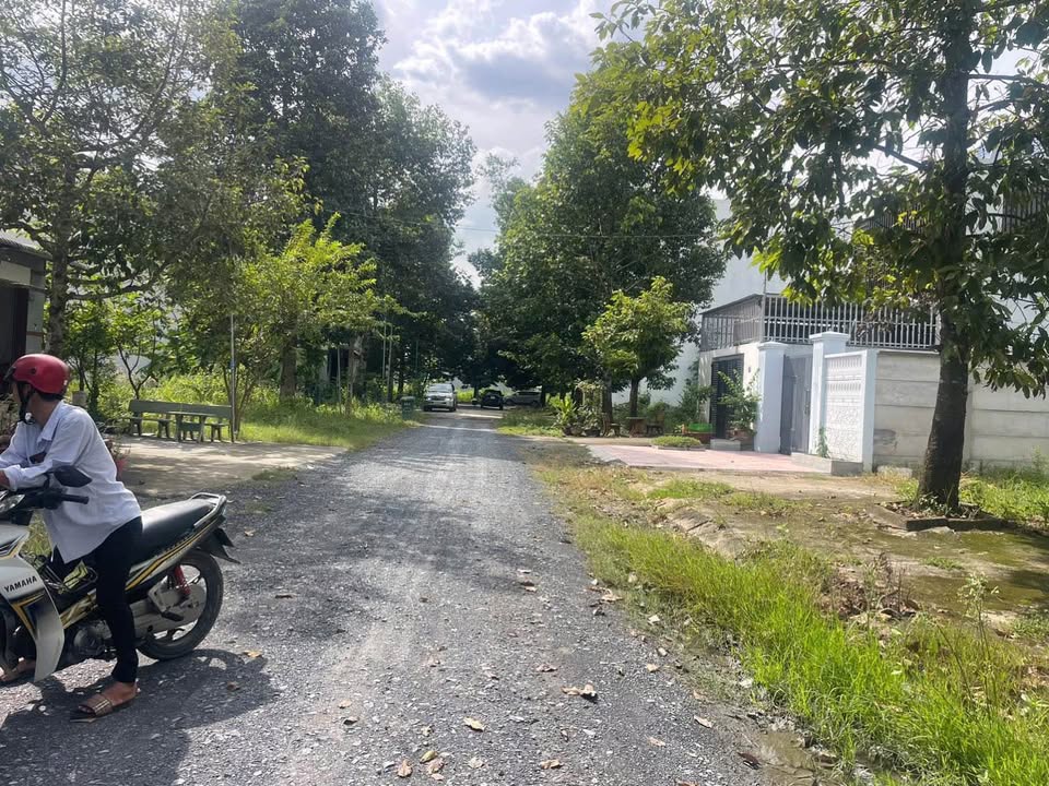 Đất nền KDC 135 Bến Lức 100m² giá 2.3 tỷ - Vị trí đẹp, đầu tư sinh lời!