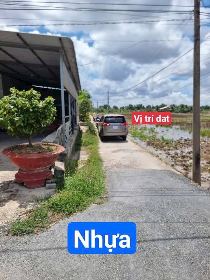 Lô đất 1.000m² tại Đức Tân, Tân Trụ, Long An - Gần chợ và trường học, giá chỉ 1.15 tỷ!