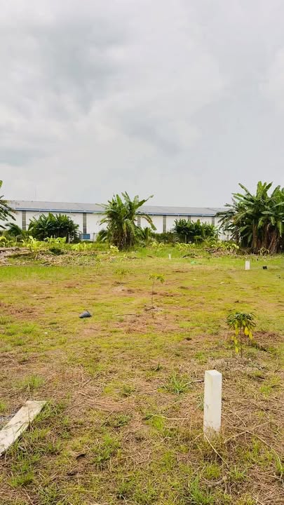 Mô Hình Nhà Vườn 14x38m tại Phước Vĩnh Tây - Sổ Hồng Riêng - Giá 1.2 Tỷ