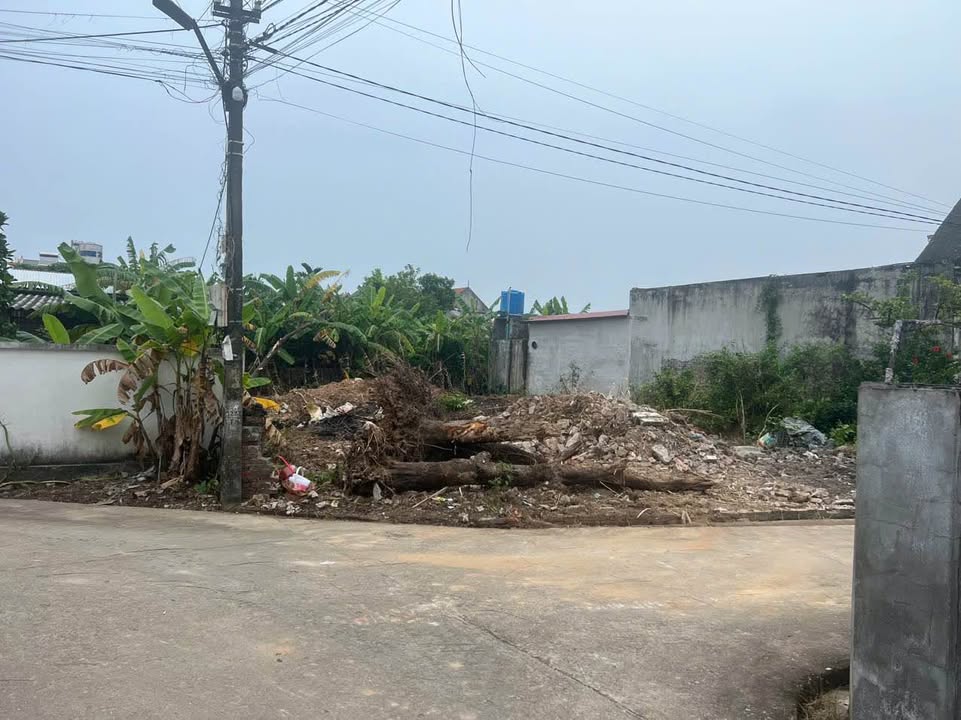 Đất nền Khám Lạng, Lục Nam 350m² giá 1.7 tỷ - Đường thông ô tô vào tận nơi!