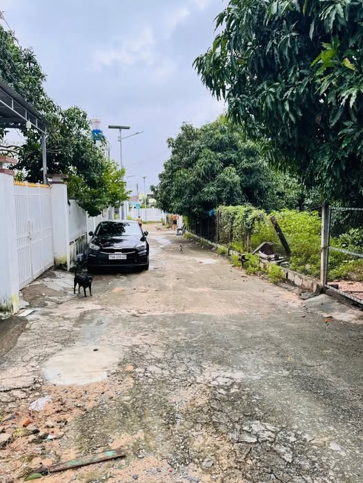 Đất thổ cư Cam Ranh 116m² giá 1.69 tỷ - Đầu tư sinh lời ngay!