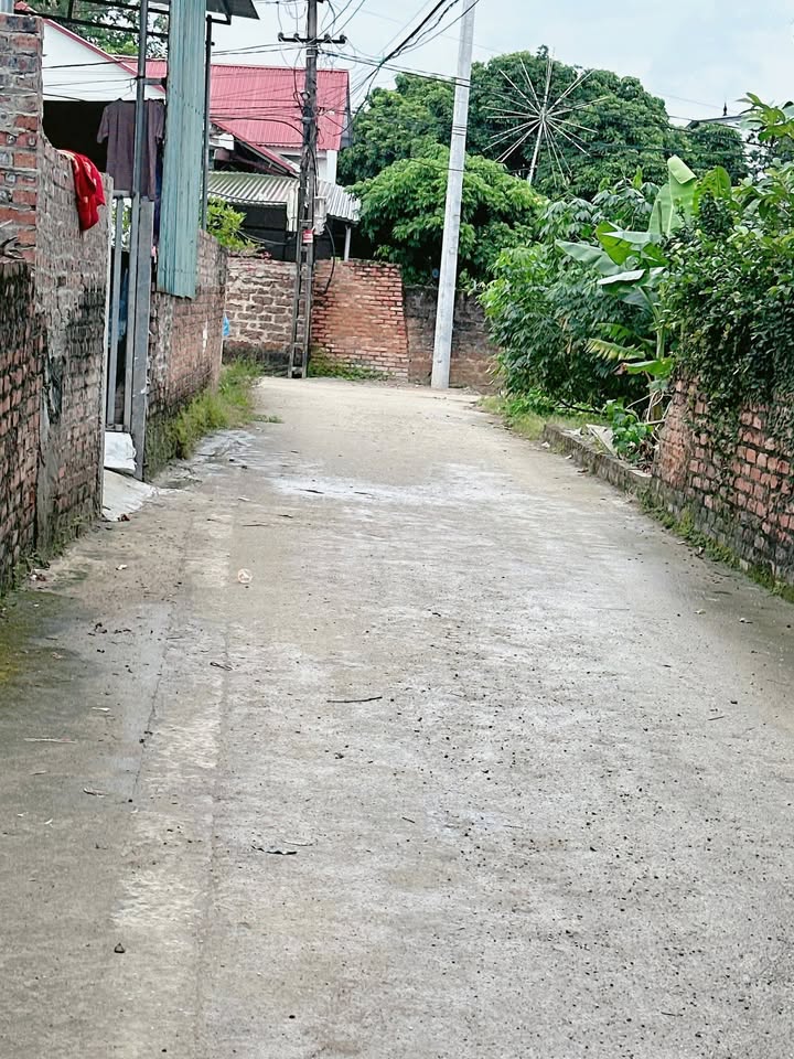 Đất thổ cư 217m² tại Kim Anh, Sóc Sơn - Giá chỉ 2.17 tỷ!