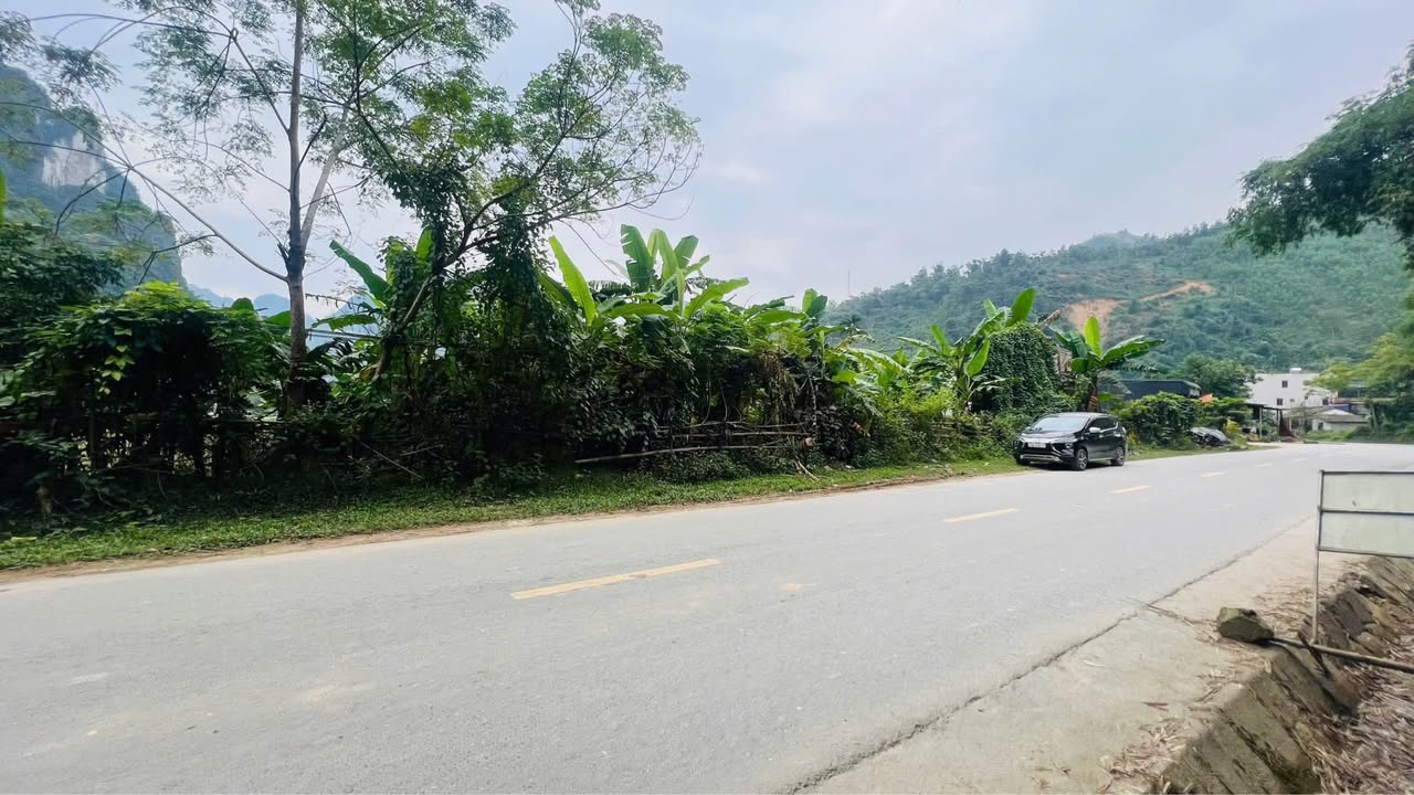 Đất nền Lương Sơn, Phú Thọ 1.008m² giá thỏa thuận - View núi tuyệt đẹp!