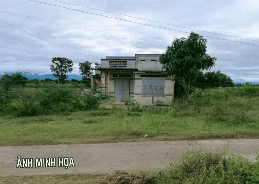 Nhà riêng hẻm bê tông Nguyễn Trãi, Phan Thiết 96m² giá 3 tỷ - Sẵn sàng vào ở!