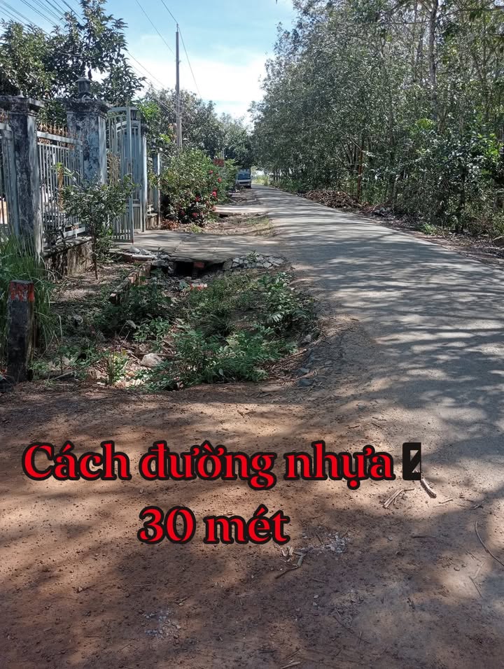 Đất thổ cư Thanh Phước Tân Biên 160m² - Cần bán gấp giá thỏa thuận!