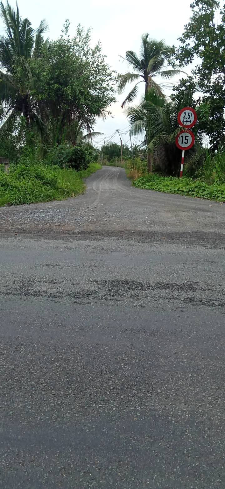 Đất vườn 16.000m² Thạnh Hòa, Bến Lức - Giá chỉ 12 tỷ, thương lượng!