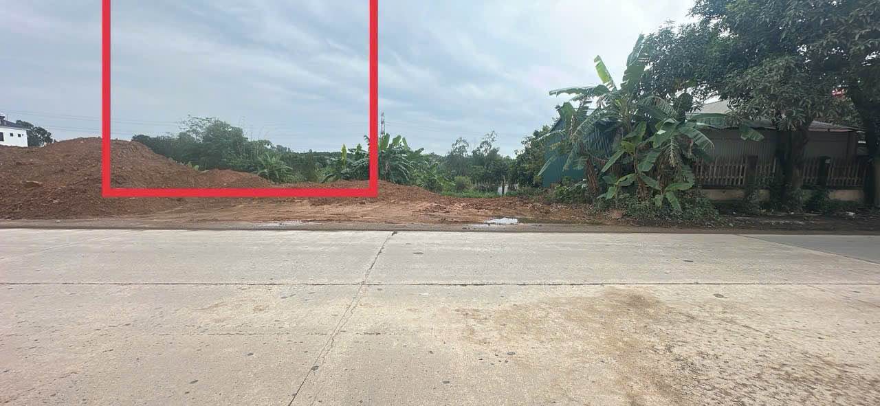 Đất nền kinh doanh Tỉnh Lộ 310, Tam Dương 130m² giá 3 tỷ - Cơ hội sinh lời lớn!