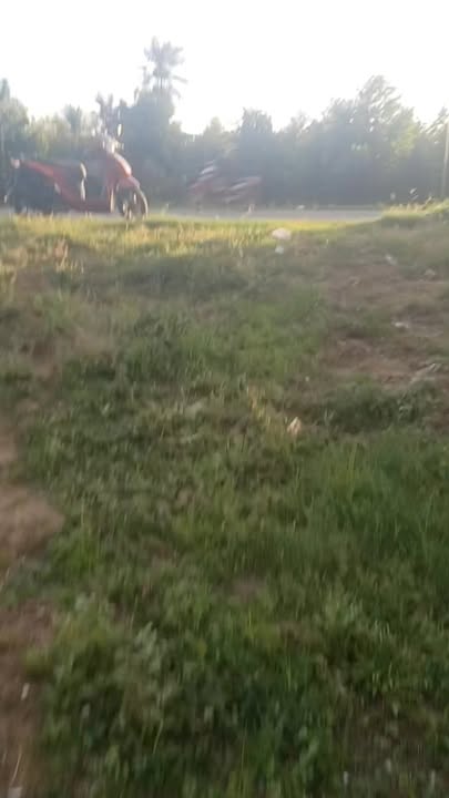 Đất thổ cư 70m², Quốc lộ 57, 1400m², Giá 7.5 tỷ - Cơ hội đầu tư hấp dẫn!