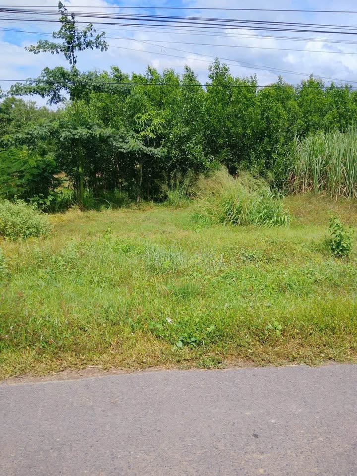 Đất nền mặt tiền nhựa Thanh Hoà, Châu Thành, Tây Ninh 70m² - Giá chỉ 115 triệu, cơ hội đầu tư tuyệt vời!