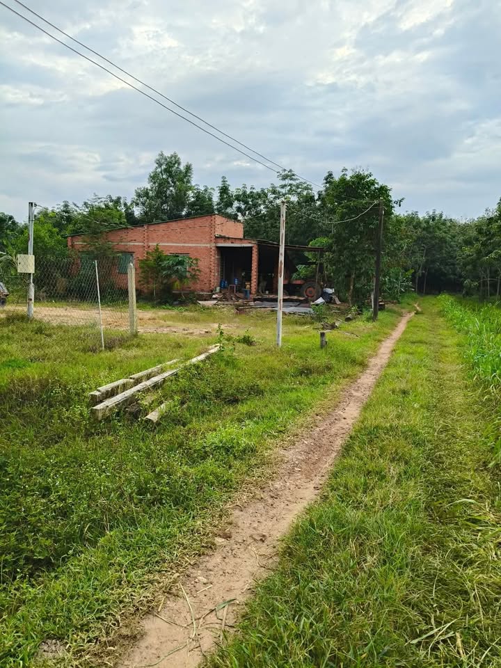 Đất nền Xóm Mới 2, Trí Bình, 2000m² chỉ 450 triệu - Đầu tư lý tưởng!