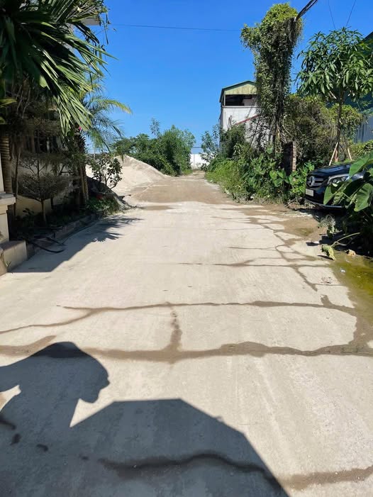 Kho xưởng Hoài Thượng, Thuận Thành 200m² - Tiềm năng kinh doanh lớn!