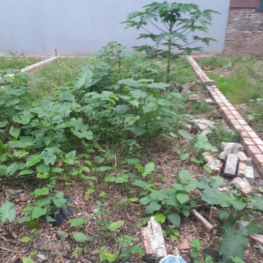 Đất nền Ninh Xá, Thuận Thành 50m² giá 1.39 tỷ - Kết nối giao thông thuận tiện!