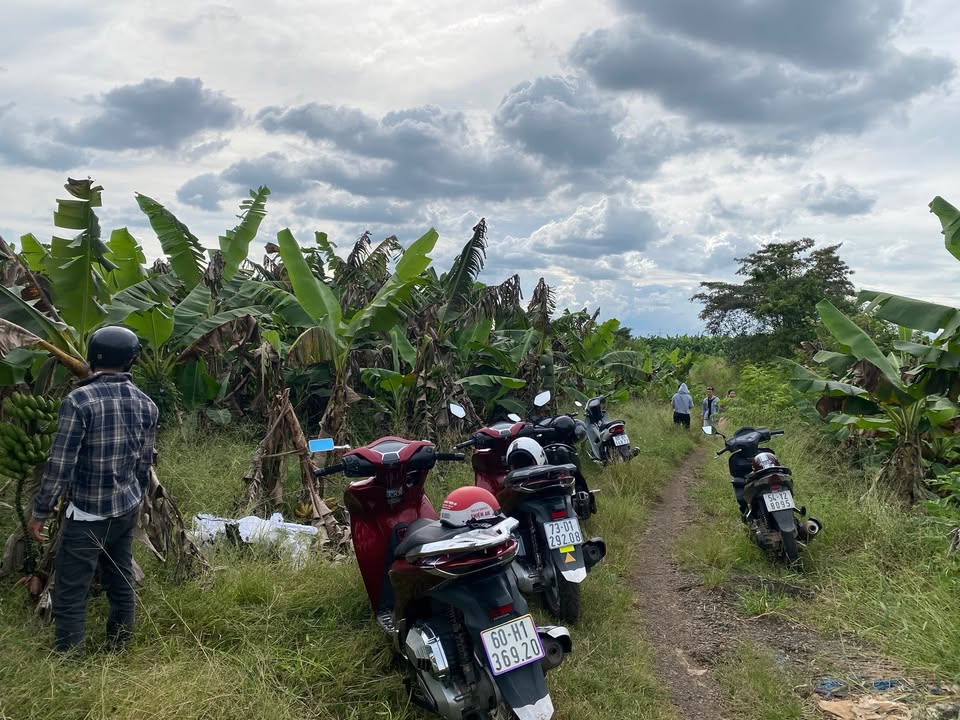 Đất vườn 1000m² tại Sông Thao, Trảng Bom, chỉ 500 triệu - Cơ hội đầu tư tuyệt vời!