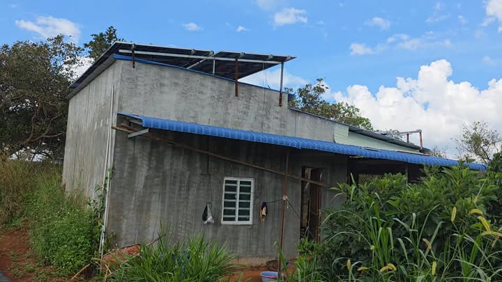 Farm sầu riêng Thái 1,5ha tại Thọ Sơn, Bù Đăng - Giá 4,2 tỷ, ô tô vào tận vườn!