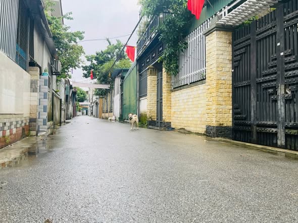 Đất nền Lê Lợi, Vinh 56m² giá 2.1 tỷ - Đầu tư sinh lời ngay!