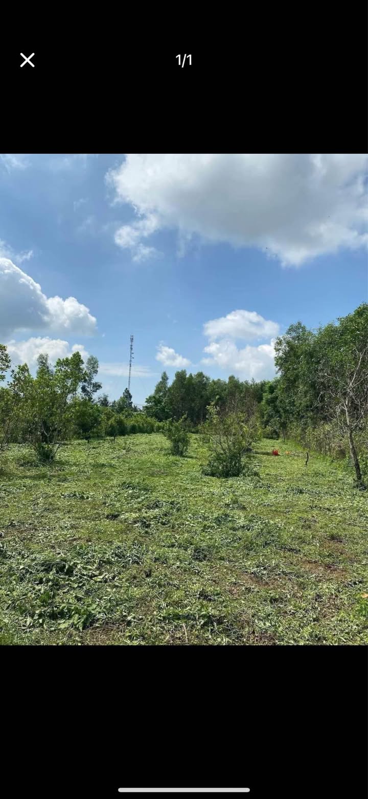 Đất nền Bảo Vinh Long Khánh 1056m² giá 950 triệu - Cơ hội đầu tư sinh lời!