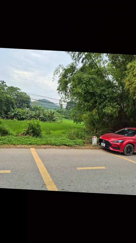 Đất thổ cư 100m² tại Thôn Thống Nhất, Sông Lô - Giá chỉ 2 tỷ VND!