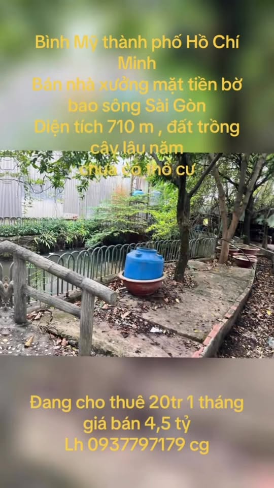 Nhà xưởng mặt tiền bờ bao sông Sài Gòn tại Bình Mỹ, Củ Chi 710m² giá 4.5 tỷ - Đầu tư sinh lời ngay!