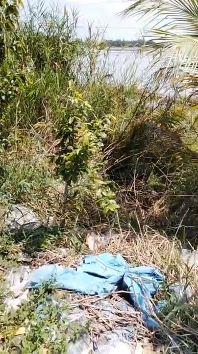 Đất nông nghiệp Phương Thịnh 36.000m² giá 1.05 tỷ - Cơ hội đầu tư tuyệt vời!